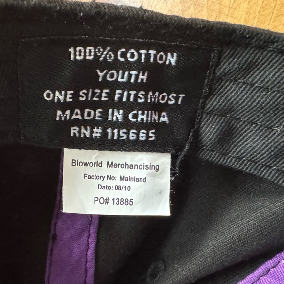 Diary of a Wimpy Kid Adjustable Hat & The Meltdown Book Set - Picture 7 of 14